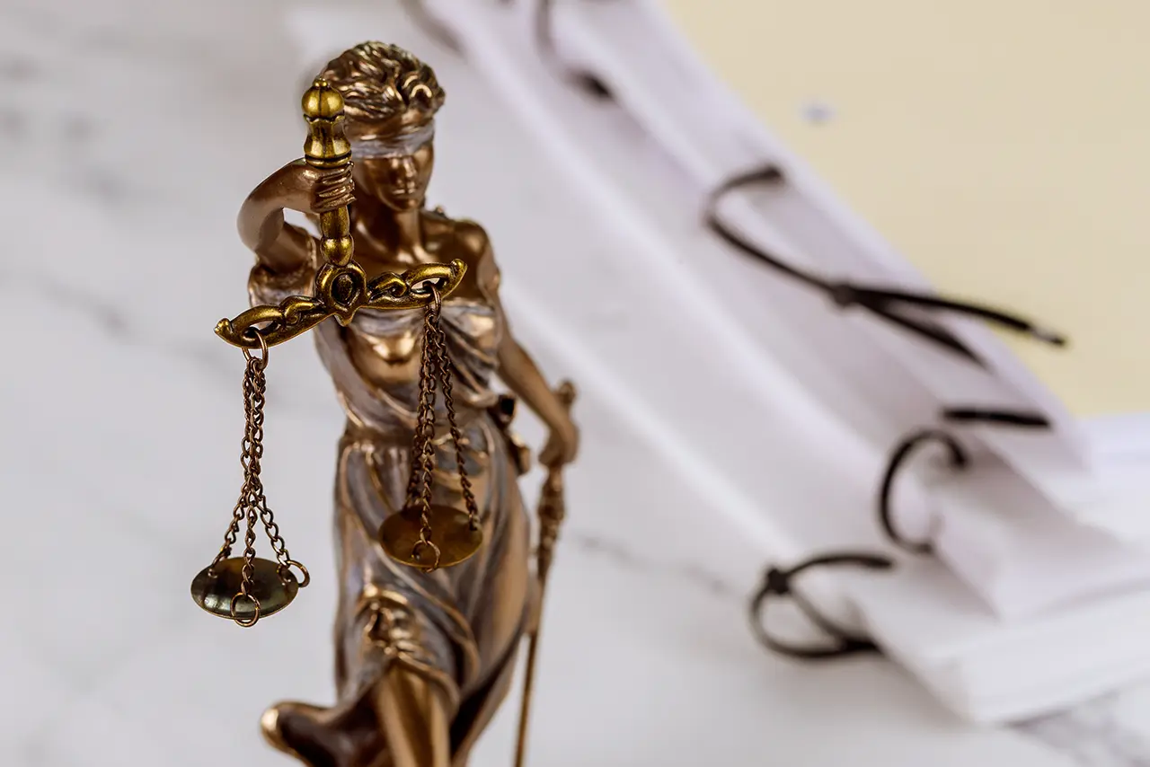 Pesic Aleksandra Advokat